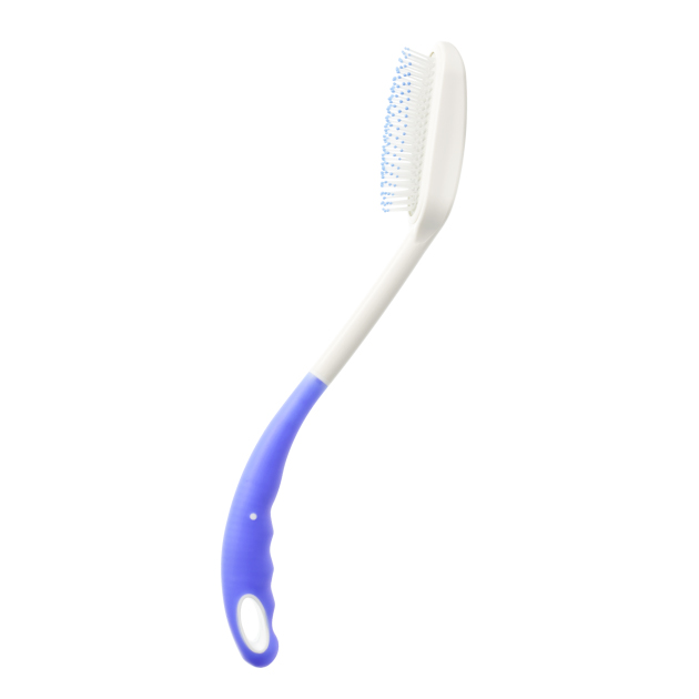 Long Handled Hair Brush