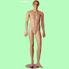 Male Mannequine